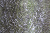 Bustard Green fibreglass roof work