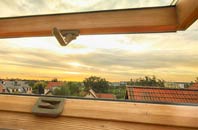 rated Bustard Green roof window companies
